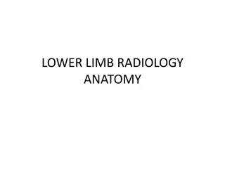 Lower Limb Radiology Anatomy and Pathologies | Pelvis, Hip, Knee, Ankle, Foot