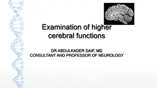 Examination of Higher Cerebral Functions by Dr. Abdulkader Daif, MD