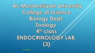 Physiology of Hormones Secreted by the Posterior Pituitary Gland