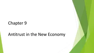 Antitrust and Economic Dynamics in the New Economy