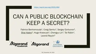 Ensuring Secrets on Public Blockchains: Security and Efficiency Goals