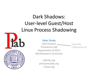 Shadow Process Abstraction for Virtualization Services