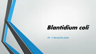 Balantidium coli: A Parasitic Ciliate Alveolate