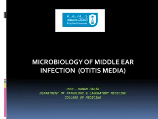 Microbiology of Middle Ear Infection: Otitis Media Insights