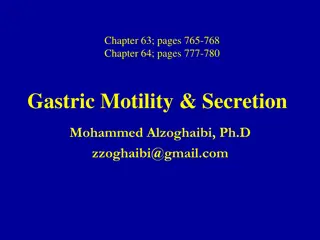 Gastric Motor Functions and Physiology Explained in Detail