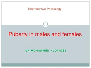 Puberty and Reproductive Physiology Changes in Adolescents