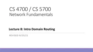 Intra Domain Routing in Network Fundamentals