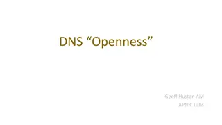 DNS Openness and Potential Limitations