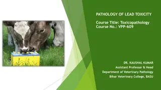 Lead Toxicity in Animals: Causes, Pathogenesis, and Clinical Findings