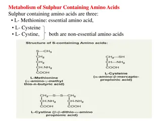 Metabolism of Sulphur-Containing Amino Acids and Methionine Pathway