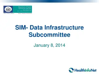 SIM Data Infrastructure Subcommittee Overview