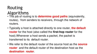 Routing Algorithms in Computer Networks