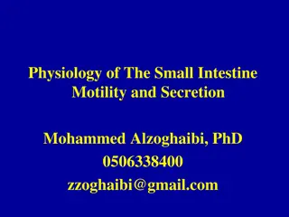 Small Intestine Motility and Secretion Processes