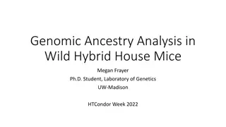 Genetic Insights Into Wild Hybrid House Mice and Speciation