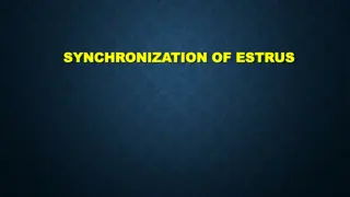 Synchronization of Estrus and Its Advantages in Animal Reproduction