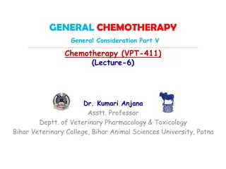 Veterinary Chemotherapy Considerations: Toxicity, Resistance, and Reactions