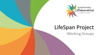 Structuring Support for the LifeSpan Project Working Groups