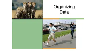 Frequency Distributions and Histograms for Data Organization