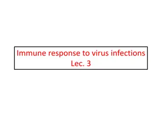 Immune Responses to Virus Infections