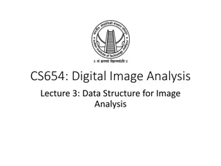 Data Structures for Image Analysis: Levels & Representation