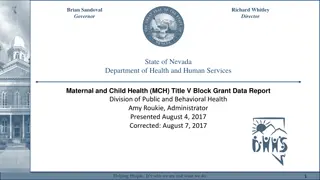 Maternal and Child Health Performance Measurement Data Report