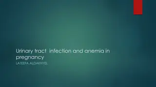 Urinary Tract Infections and Anemia in Pregnancy