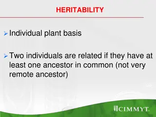 Inbreeding and Heritability in Plants