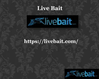Cast Fishing Nets, livebait