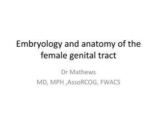 Embryology and Anatomy of Female Genital Tract Development