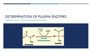 Plasma Enzymes and LDH in Serum