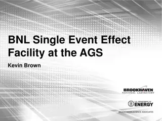 BNL Single Event Effect Facility at the AGS Project Overview