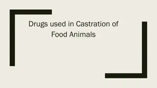 Drugs Used in Castration of Food Animals and Anesthesia Guidelines