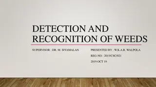 Detection and Recognition of Weeds - Dataset and Methodology