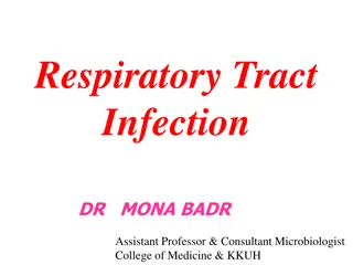 Viral Infections of the Respiratory Tract