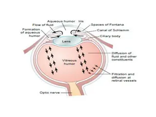 Cholinergic Antagonists and Their Actions