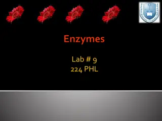 Phosphatases and Their Role in the Body