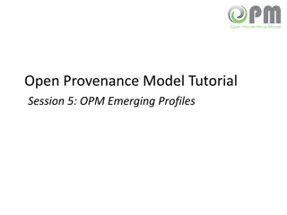 OPM Profiles for Provenance Modeling