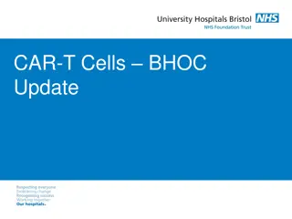 CAR-T Cells Update at BHOC: Services, Experience, and Cohorts