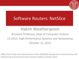 Software Packet Processors in High-Performance Networks