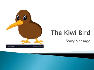 Kiwi Bird Adventure - A Fun Story for Relaxation