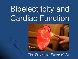 Engineering Solutions for Bioelectricity and Cardiac Function