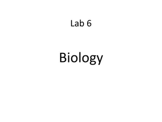 Exploring Characteristics of Life in Biology Lab