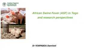 African Swine Fever (ASF) in Togo and Ongoing Research Efforts