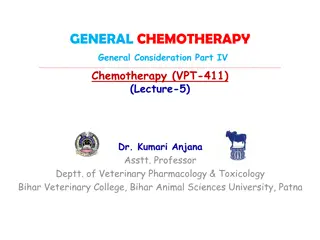 Veterinary Chemotherapy Considerations for Patient Factors and Drug Interactions
