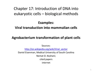 Introduction of DNA into Eukaryotic Cells: Viral and Agrobacterium Methods