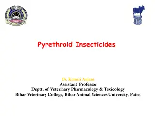 Pyrethroid Insecticides and Their Impact on Animals