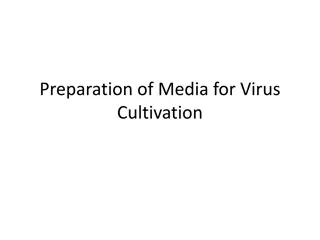 Nutritional Requirements for Mammalian Cell Cultivation