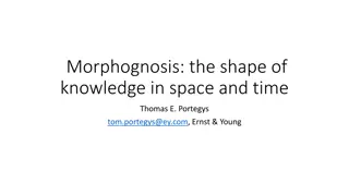 Unveiling the Shape of Knowledge in Space and Time