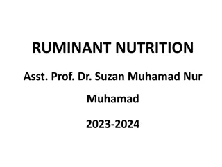 Ruminant Nutrition and Digestive Systems