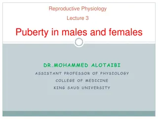 Puberty: Physiology, Changes & Hormonal Shifts